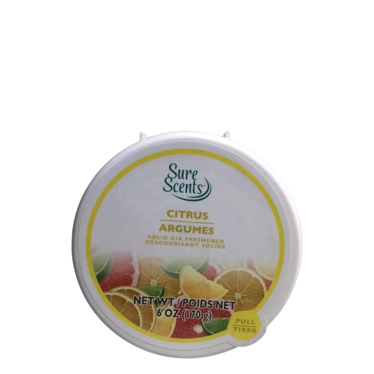 Sure Scents Absorb Odors Solid Air Fresheners - Citrus, 170 g