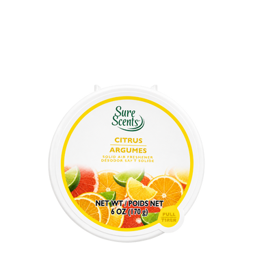 Sure Scents Absorb Odors Solid Air Fresheners - Citrus, 170 g