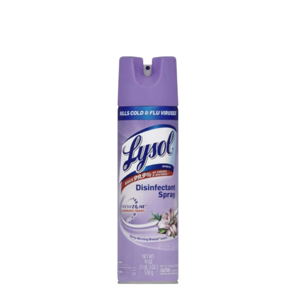 Lysol Disinfectant Spray - 538 g