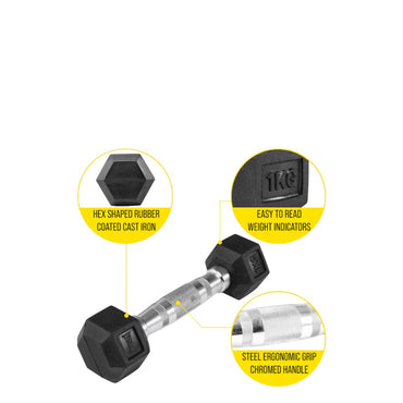 Everlast hexagonal dumbells - 1kg