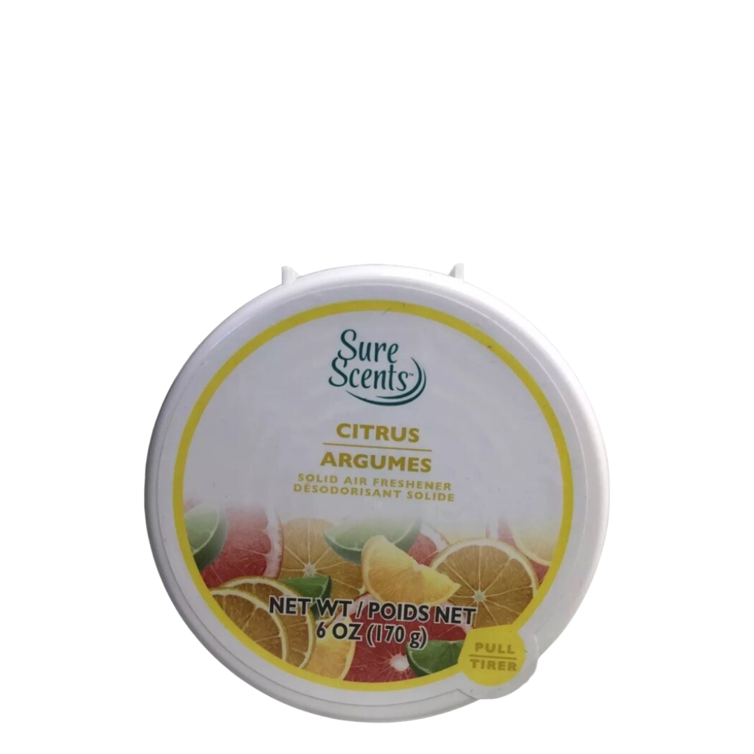 Sure Scents Absorb Odors Solid Air Fresheners - Citrus, 170 g
