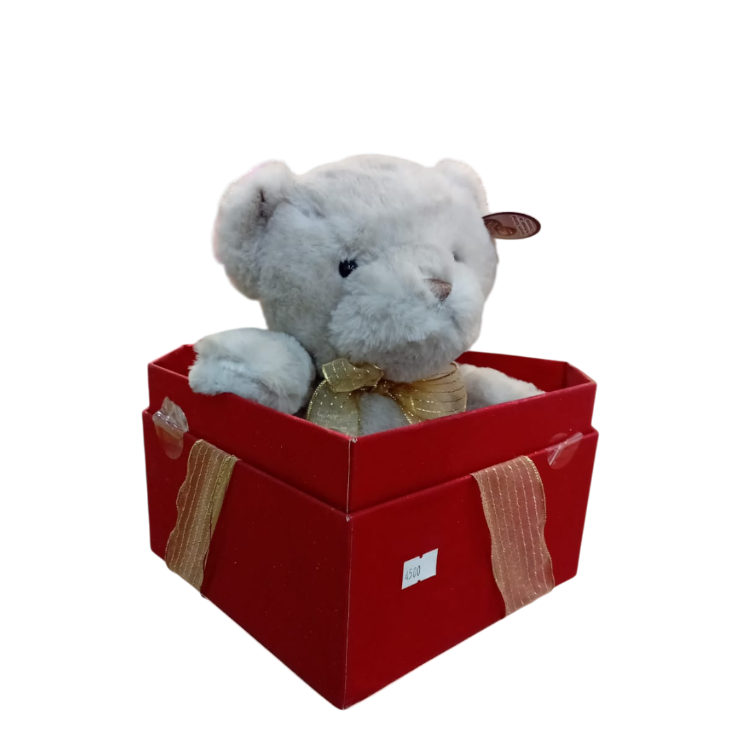 Chocolate Scented Teddy Bear in a gift box