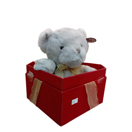 Chocolate Scented Teddy Bear in a gift box