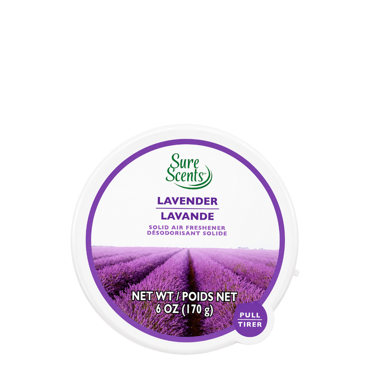 Sure Scents Absorb Odors Solid Air Fresheners - Citrus, 170 g