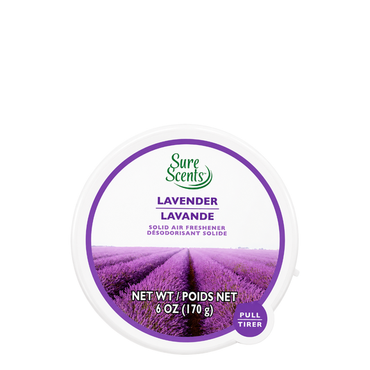 Sure Scents Absorb Odors Solid Air Fresheners - Citrus, 170 g